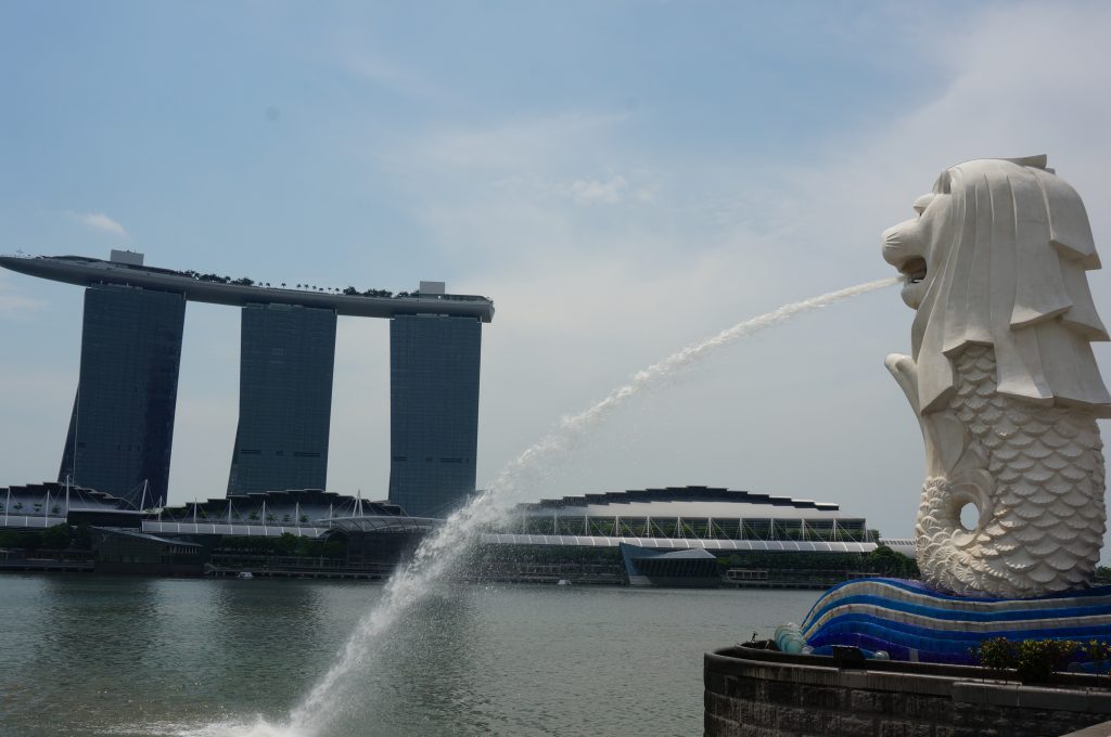 singapore-expense-world-travel