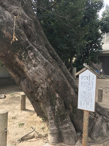 yuzuruha-shrine-3