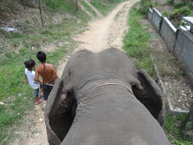 karen-elephant-camp-pai-4