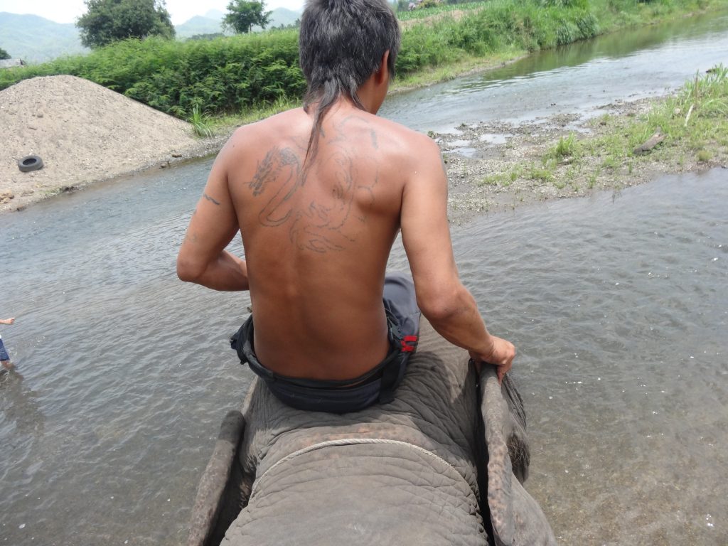 karen-elephant-camp-pai-6