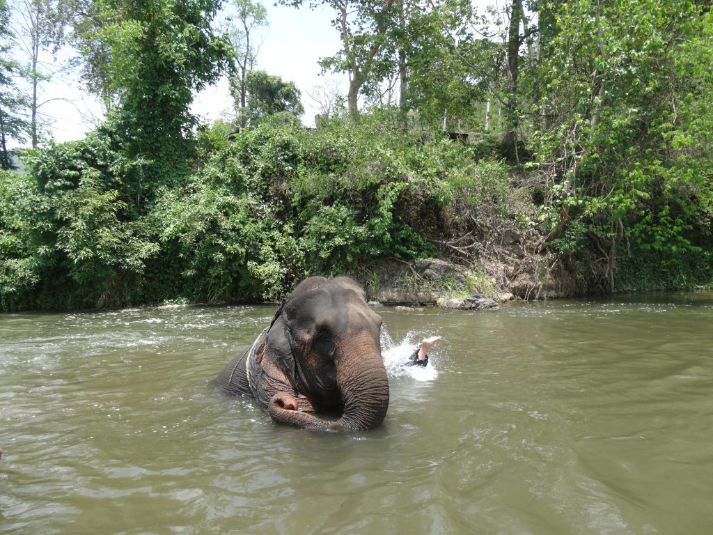 karen-elephant-camp-pai-8