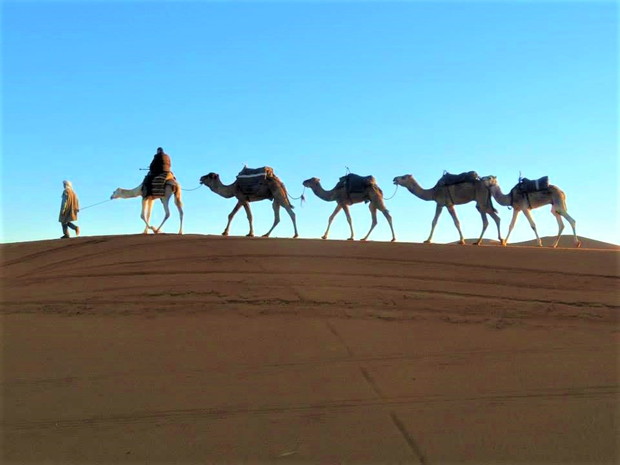 superb-view-ranking-sahara-desert