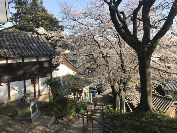 himeji-otokoyama-haisuichi-park-7