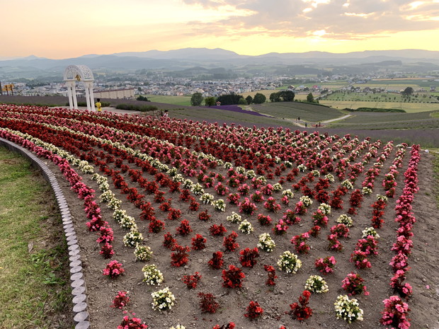 hokkaido-furano-sunset-5