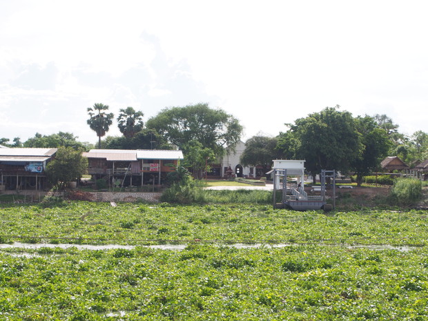 ayuttaya-japan-town-17